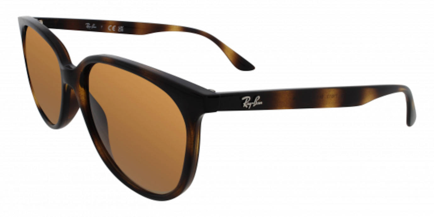 Ray-Ban 4378 11