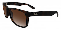 Ray-Ban Justin 4165 11