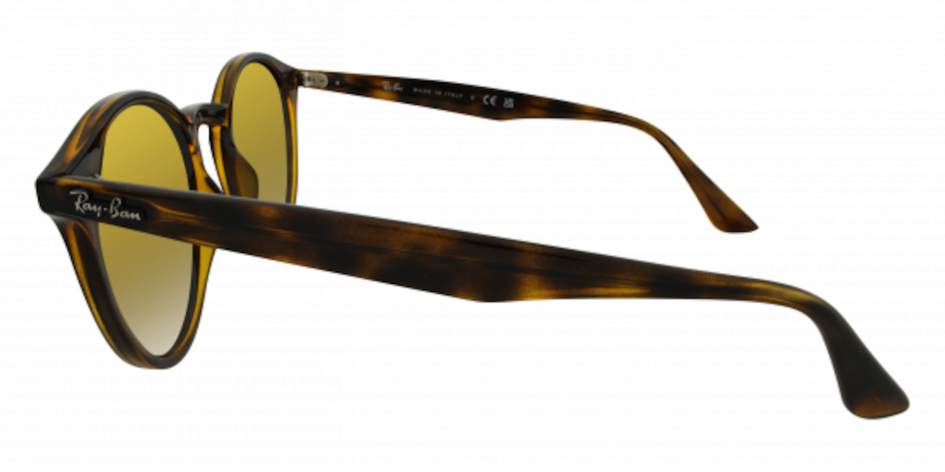 Ray-Ban 2180 21